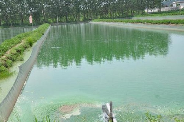 養殖水質檢測